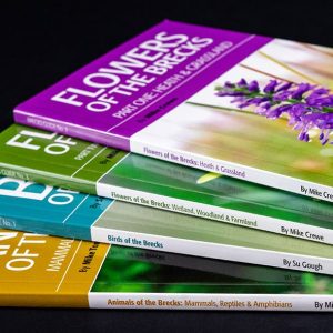 Book Printing - A4, A5 Sizes - Matte/Glossy Paper